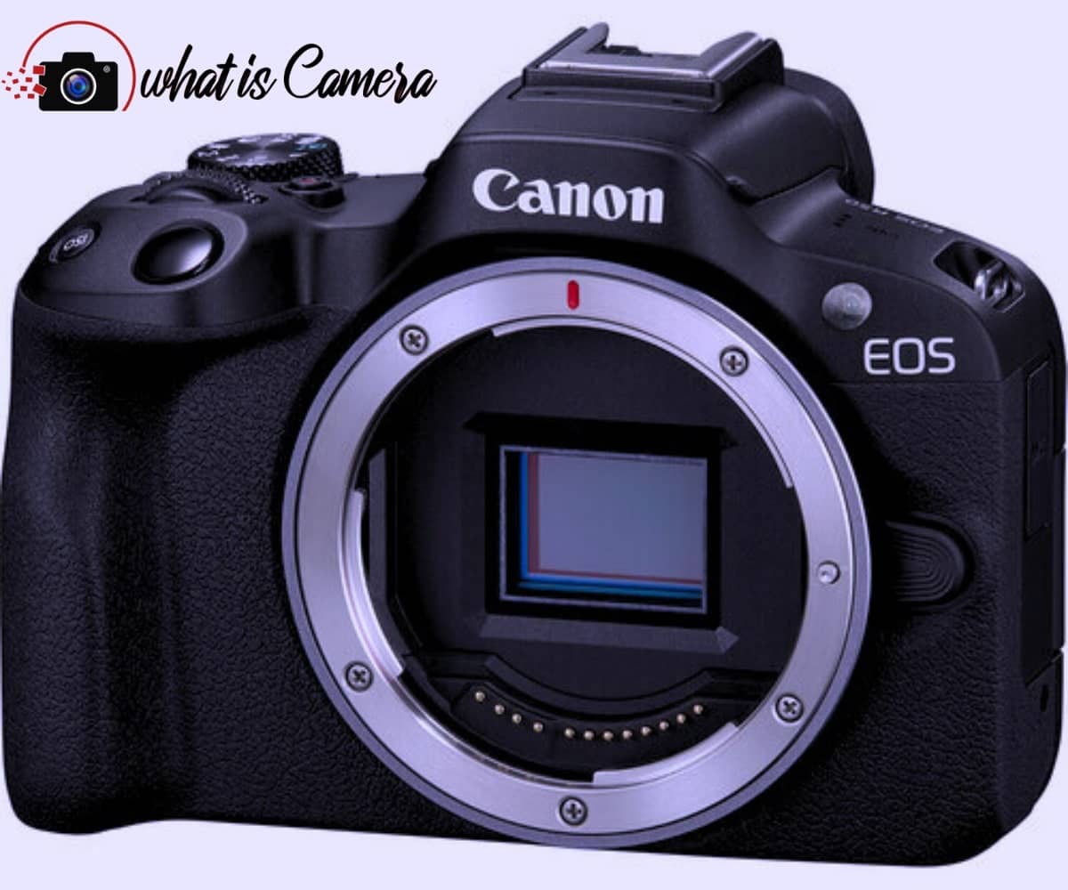 Canon EOS R50